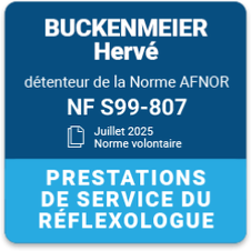 Buckenmeier Hervé, Norme AFNOR NF S99-807